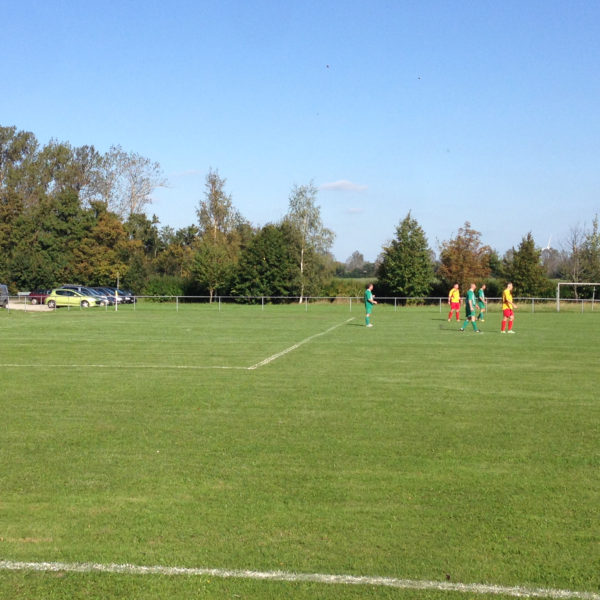 Domersleben SV