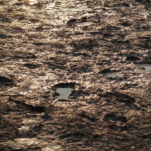 Mossfotboll Månstads IF